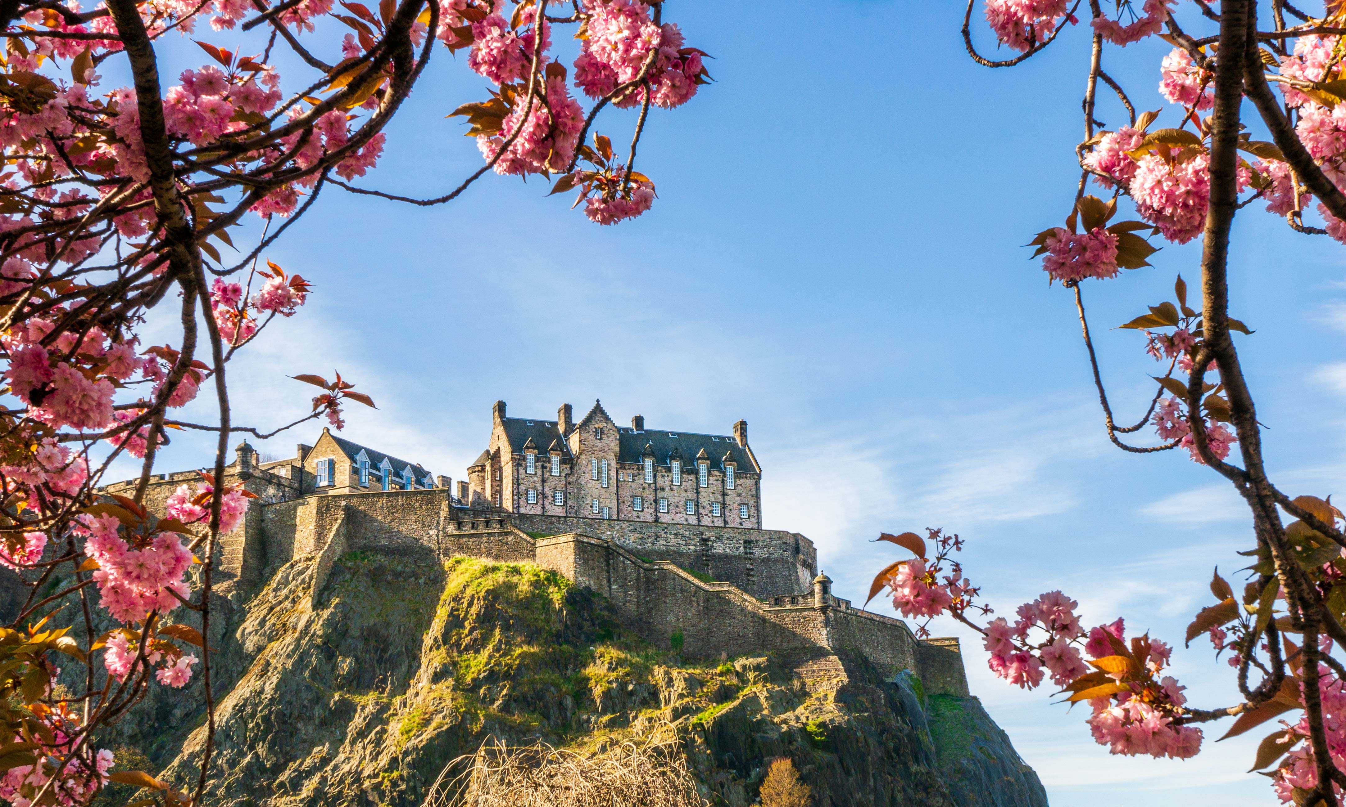 Spring in Scotland