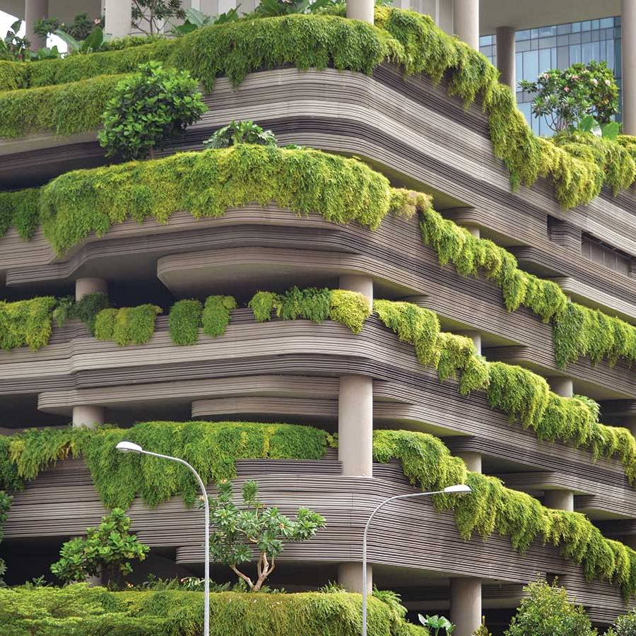 Vertical Gardens